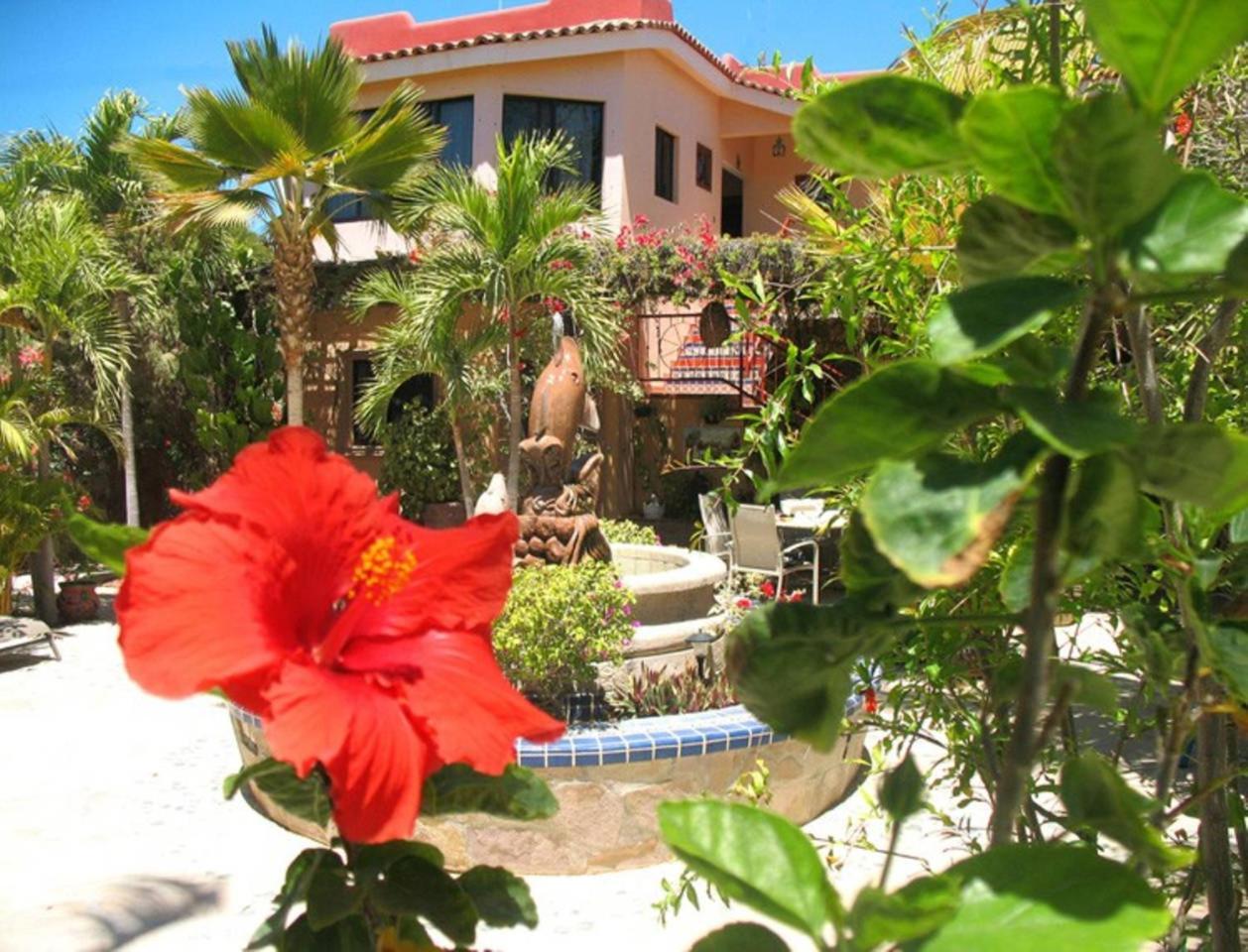 Hacienda De Palmas Bed & Breakfast La Ribera ภายนอก รูปภาพ